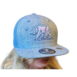 Pit Bull Snap back blue stickers bear California Republic street sport baseball